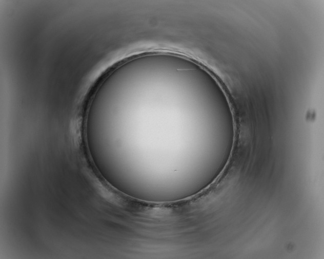 X0000102861503200808251214