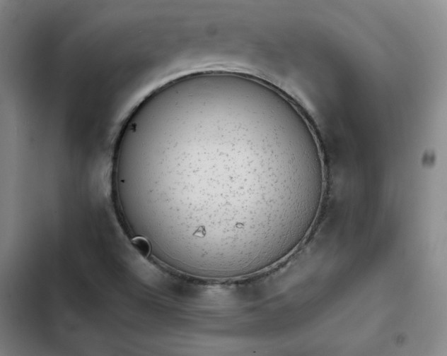 X0000102861504200808251214