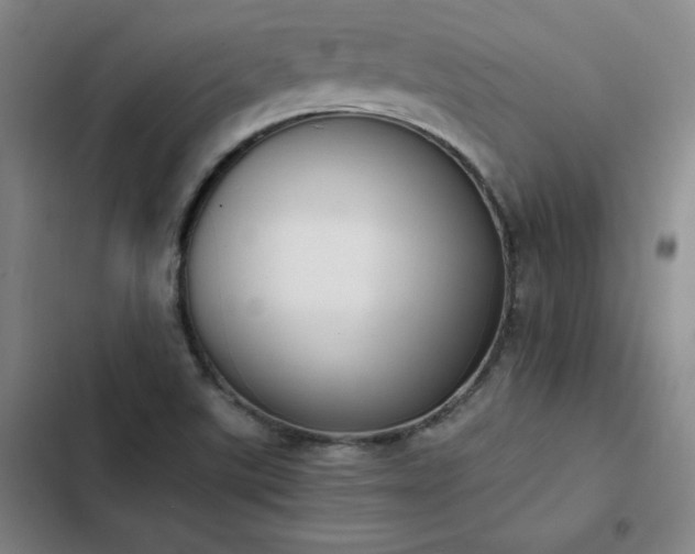 X0000102861507200808251214