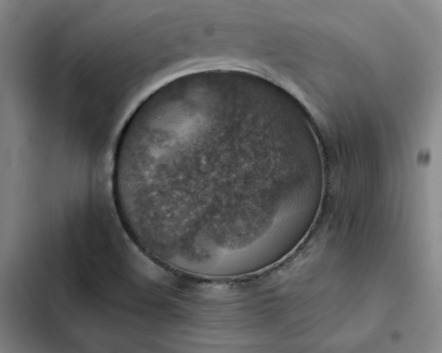 X0000102861508200808251214