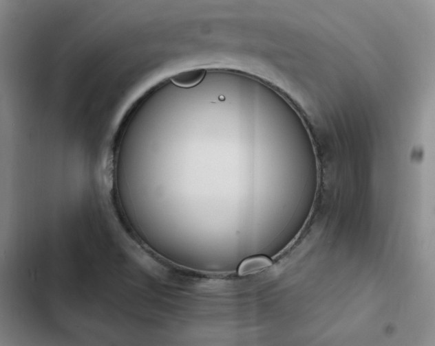 X0000102861510200808251214