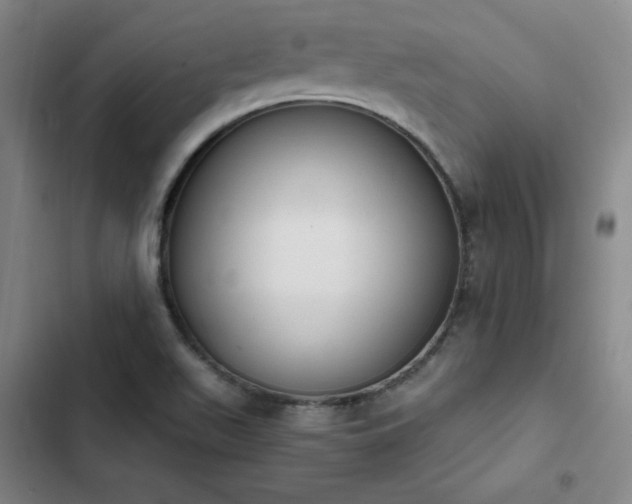 X0000102861511200808251214