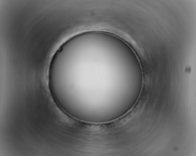 X0000102861512200808251214