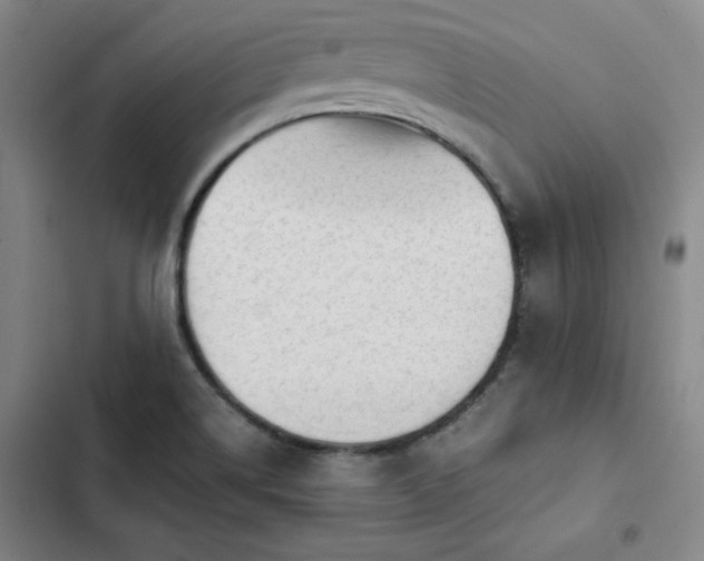 X0000102861514200808251214