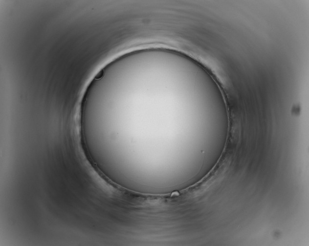 X0000102861516200808251214