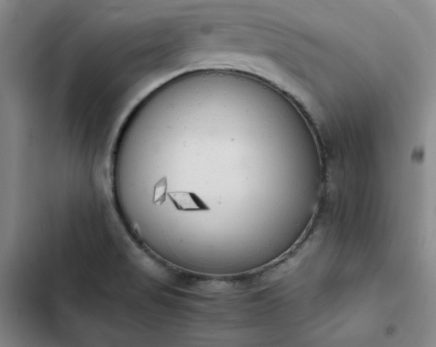 X0000102861517200808251214