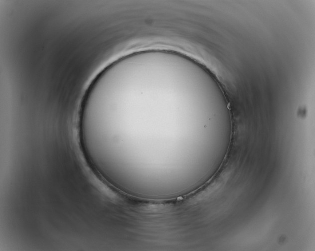 X0000102861518200808251214