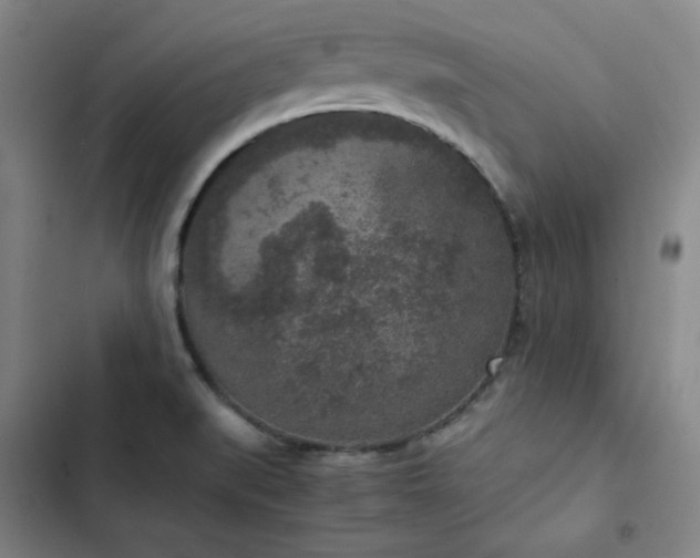 X0000102861519200808251214