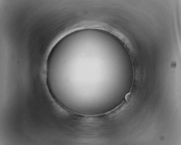 X0000102861520200808251214