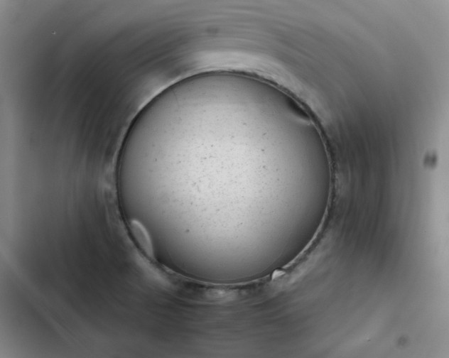 X0000102861521200808251214