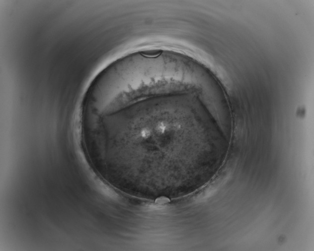 X0000102861522200808251214