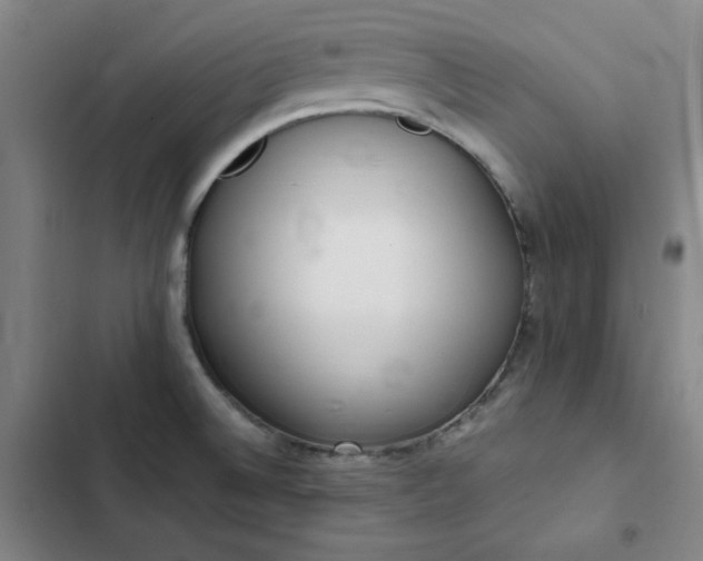 X0000102861524200808251214