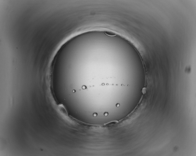 X0000102861526200808251214