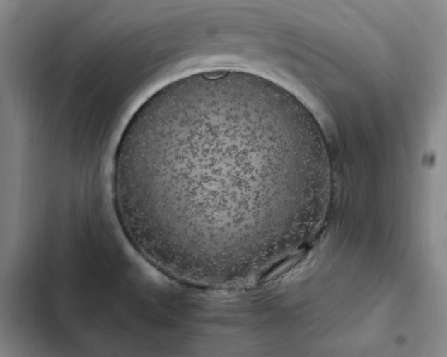 X0000102861527200808251214