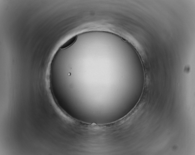 X0000102861528200808251214