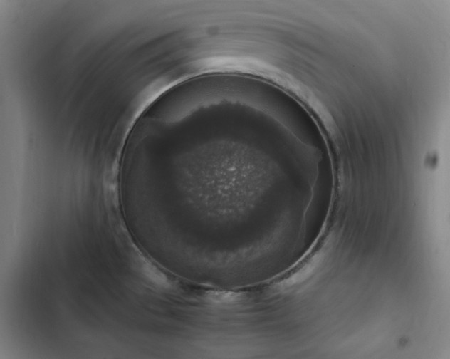 X0000102861529200808251214