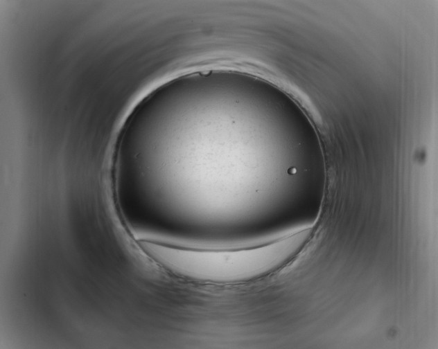 X0000102861530200808251214