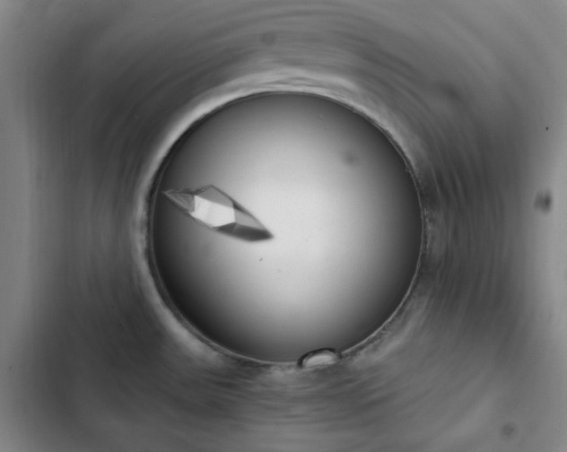 X0000102861531200808251214
