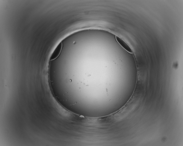 X0000102861532200808251214