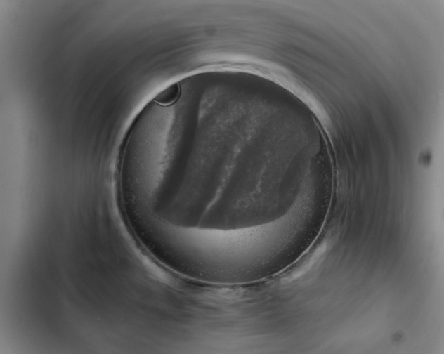 X0000102861533200808251214