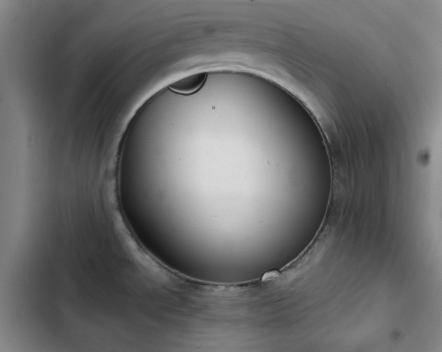 X0000102861534200808251214