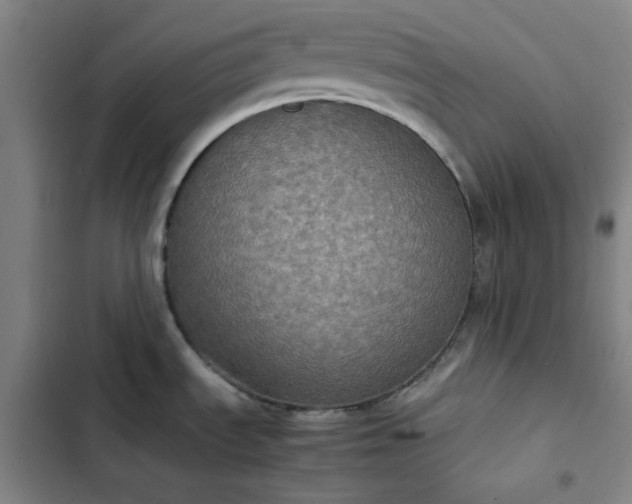 X0000102861535200808251214