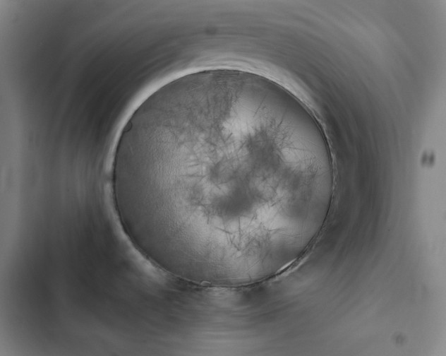 X0000102861536200808251214