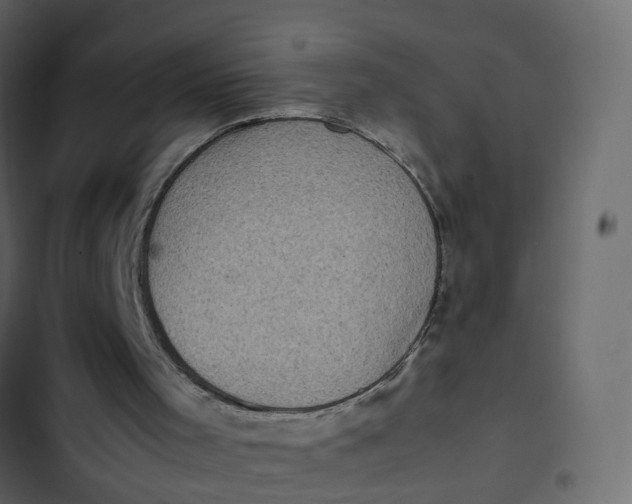 X0000102860001200809021435