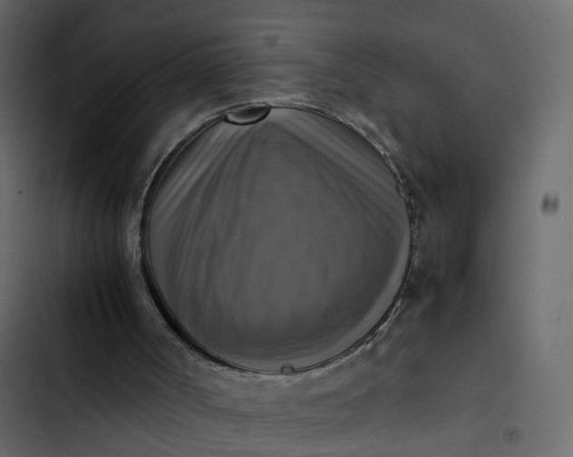 X0000102860002200809021435