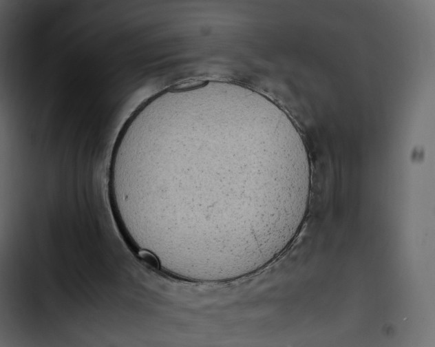 X0000102860003200809021435