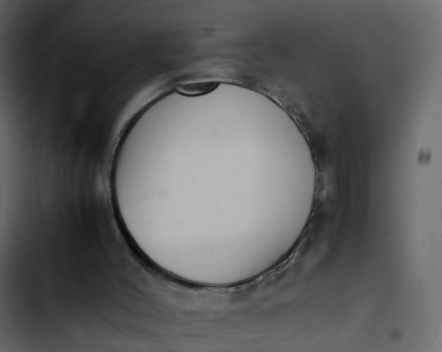 X0000102860004200809021435