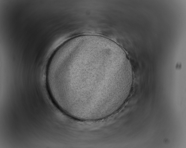 X0000102860005200809021435