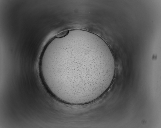 X0000102860006200809021435