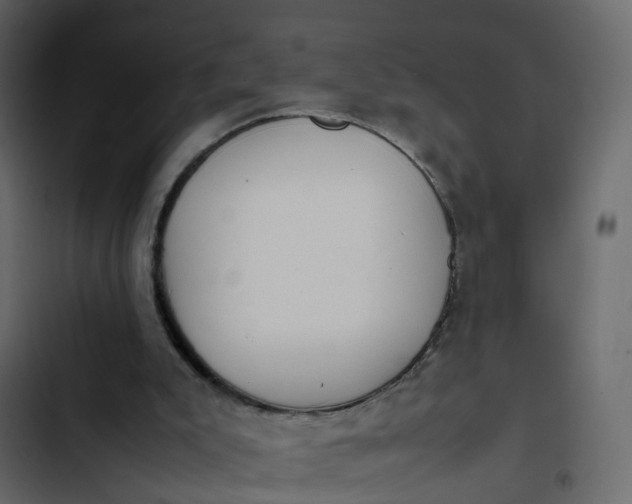 X0000102860007200809021435