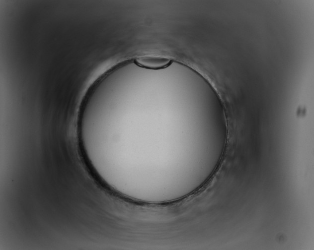 X0000102860008200809021435