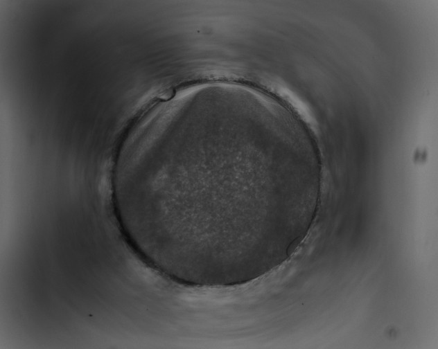 X0000102860009200809021435