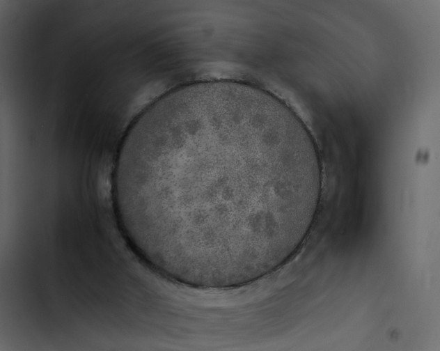 X0000102860010200809021435