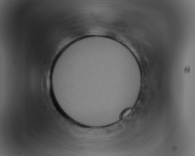 X0000102860011200809021435