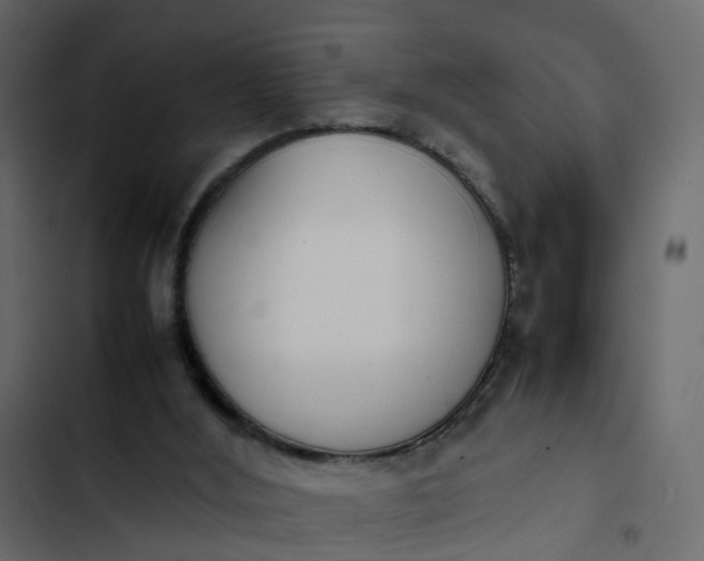 X0000102860012200809021435