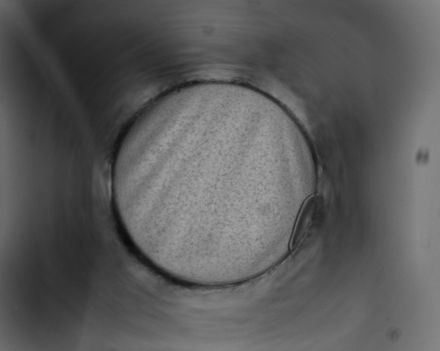 X0000102860013200809021435