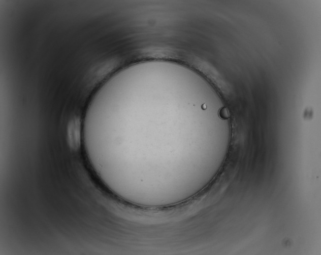 X0000102860014200809021435