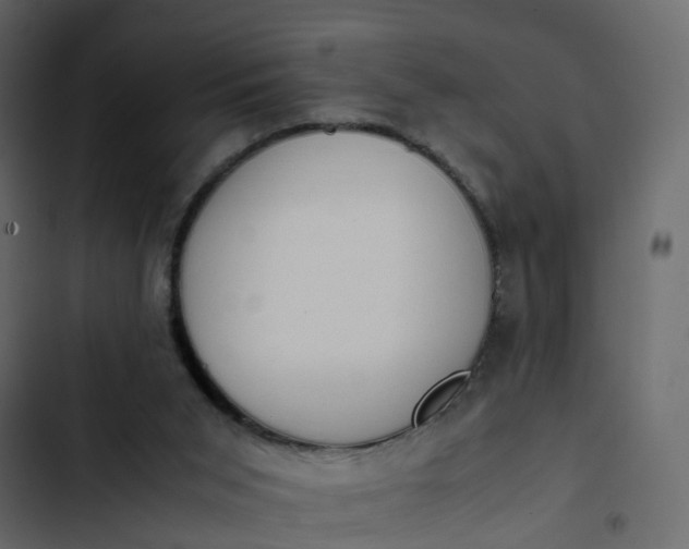 X0000102860015200809021435