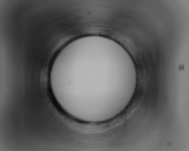 X0000102860016200809021435