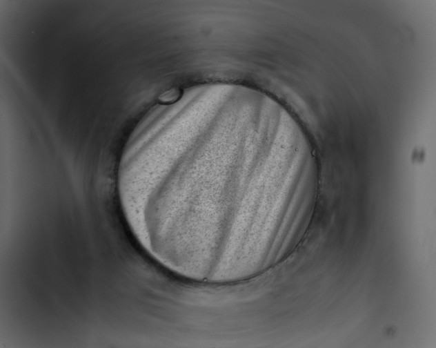 X0000102860017200809021435