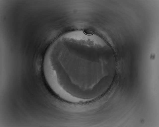 X0000102860018200809021435