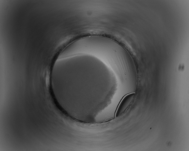 X0000102860019200809021435