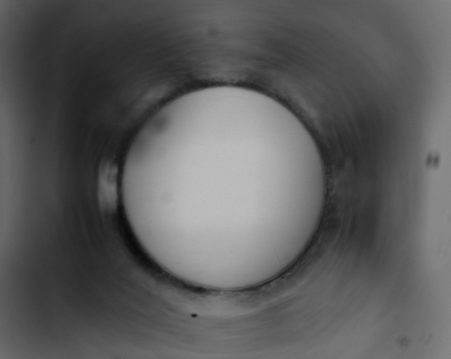 X0000102860020200809021435