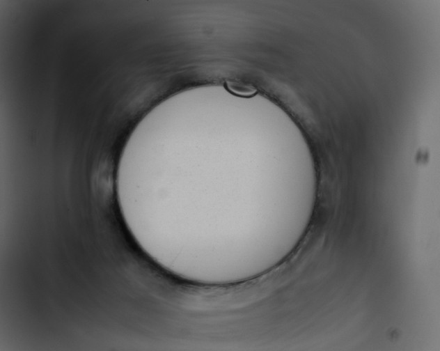 X0000102860021200809021434