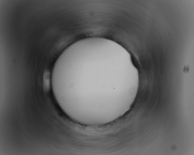 X0000102860022200809021434