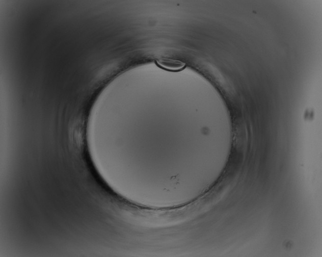 X0000102860023200809021434